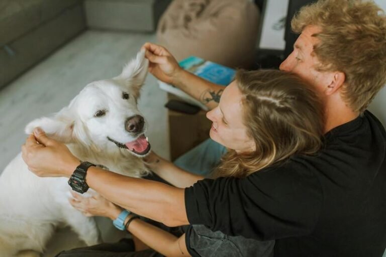 Ejercicio adecuado para Golden Retriever