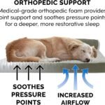 71sN2LdzYOL._AC_SL1500_